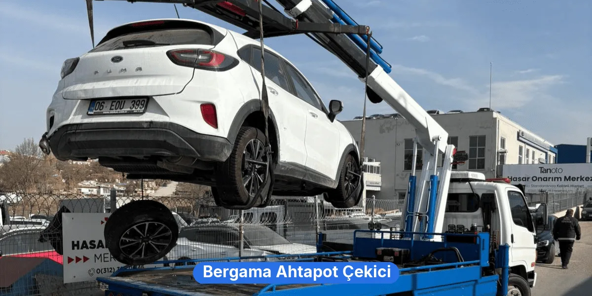 Bergama Ahtapot Çekici